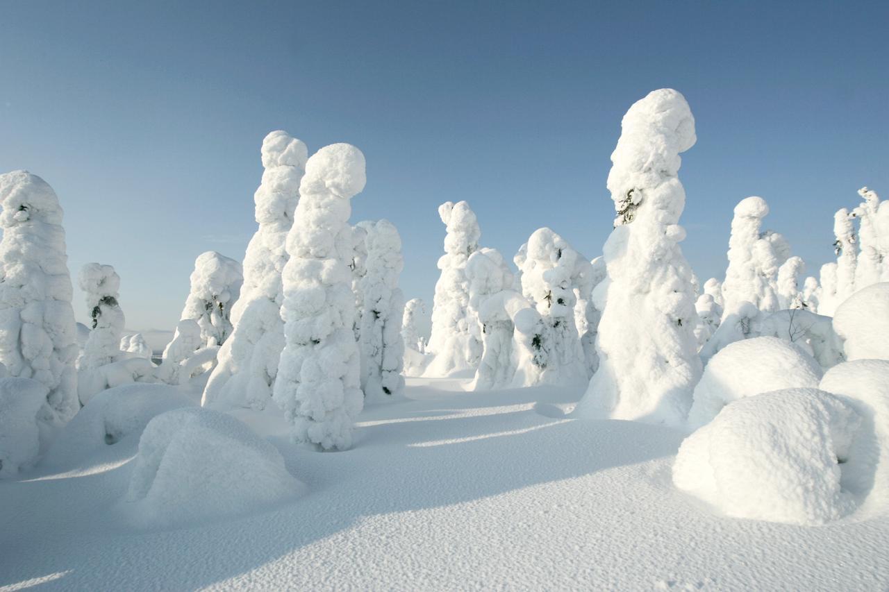 Hotelli Suomutunturi ภายนอก รูปภาพ